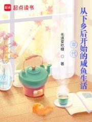 年代从下乡后开始的咸鱼生活 毛遂爱吃糖