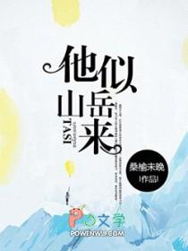 他似山岳来书评
