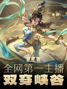 王者荣耀什么叫双穿