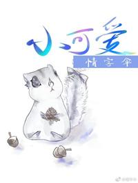 小可爱全文阅读全集