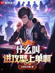 什么叫进攻型上单啊起点中文网文