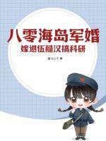 嫁退伍糙汉搞科研txt