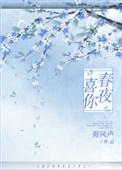 春夜喜你书本网