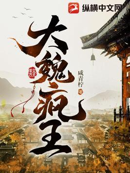 大魏疯王简介
