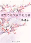 重生之过气女主