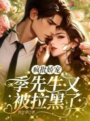 疯批娇宠季先生又被拉黑了银月芽