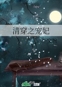 清穿之宠妃倾城史