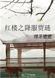 红楼之降服贾琏免费阅读