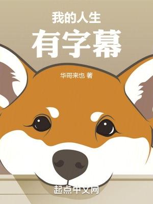 我的人生有字幕杨辰免费阅读