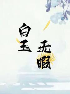 白玉无瑕打一字是啥