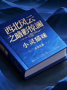 电影西北风云在线观看