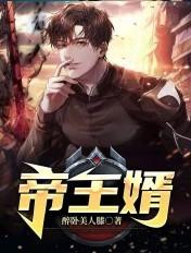 帝王婿在线阅读