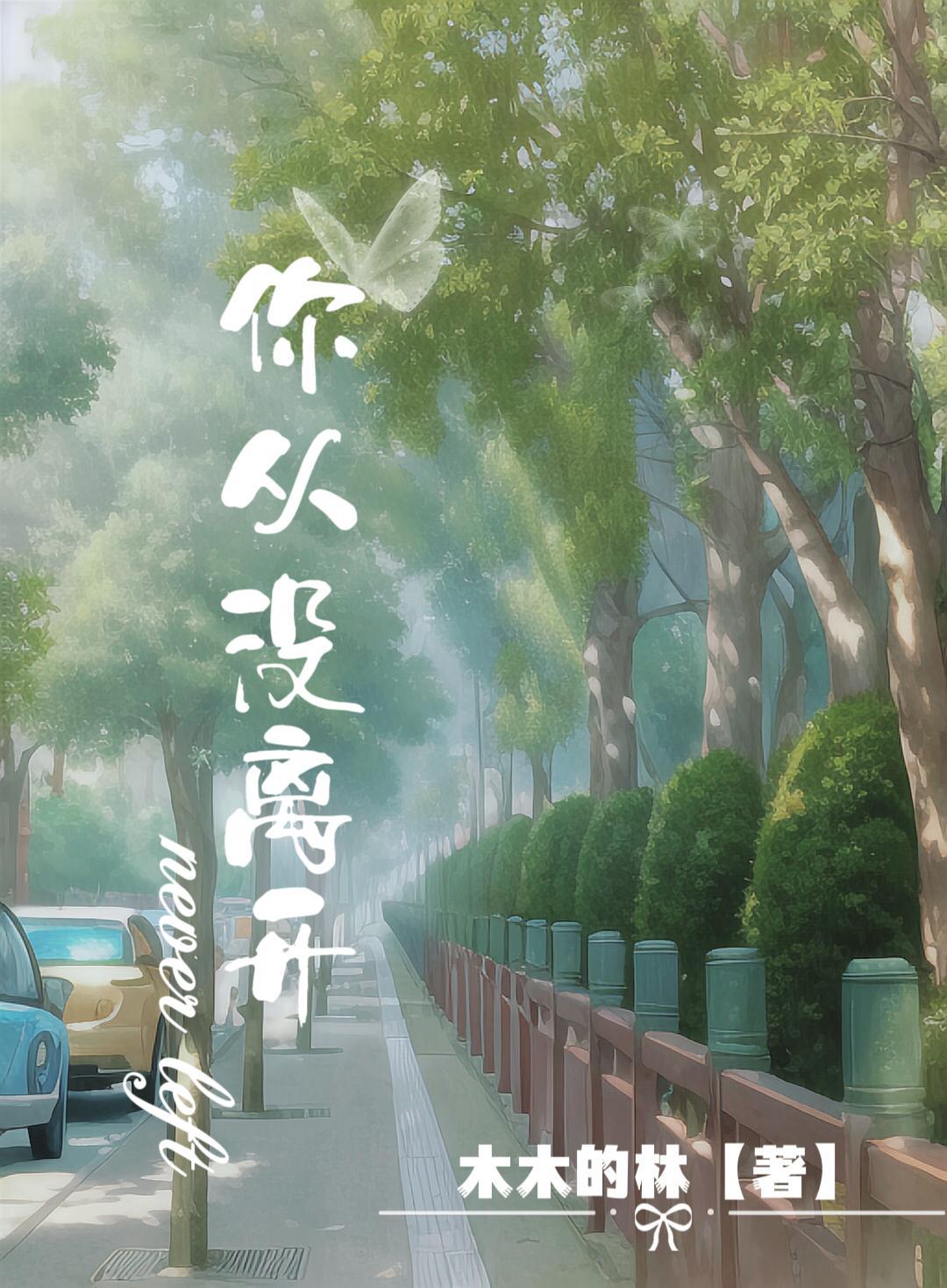 你从来没离开