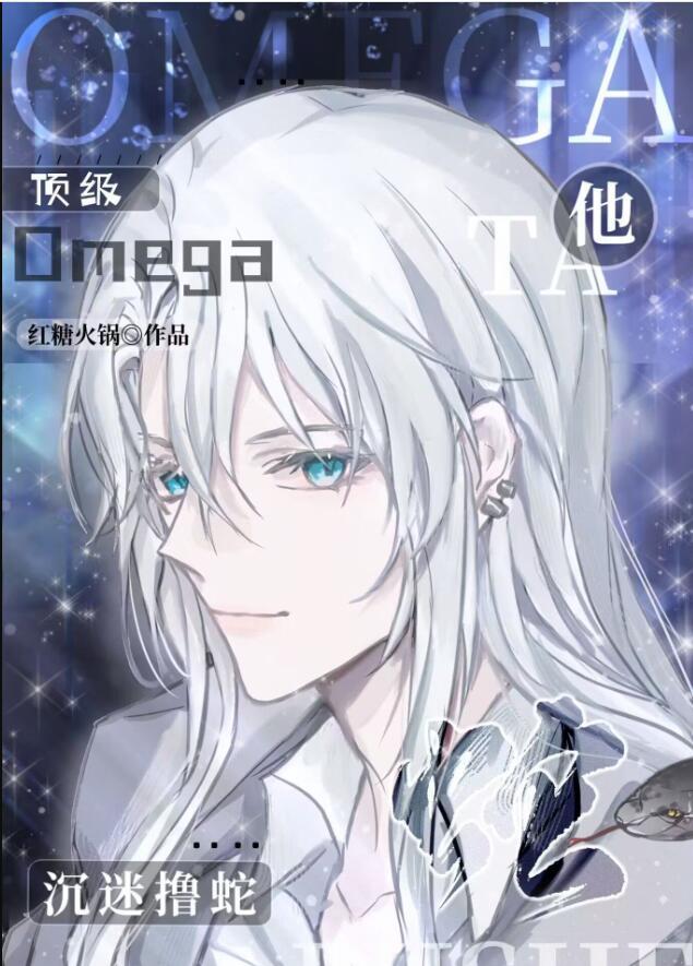 顶级omega全文免费阅读