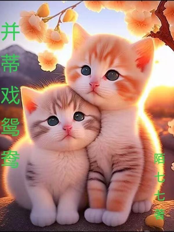并蒂莲和鸳鸯的关系