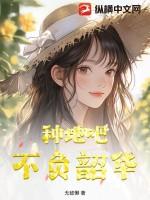 不负韶华的含义