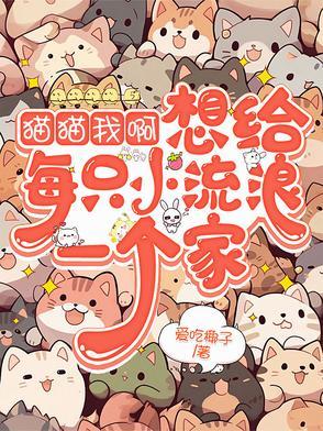 我想给我的猫咪