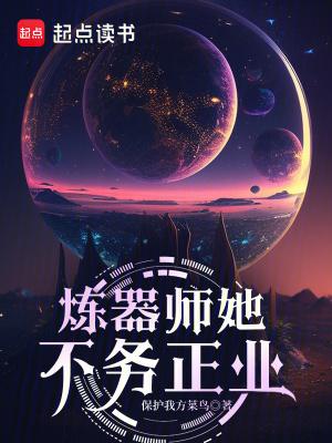 炼器师她不务正业石头