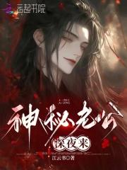 神秘老公深夜来全文免费阅读全文见字如面