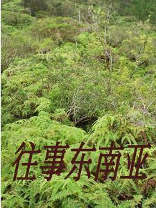 缅北人员怎么了