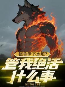 德鲁伊带人