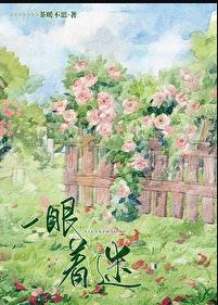 一眼着迷免费阅读全文