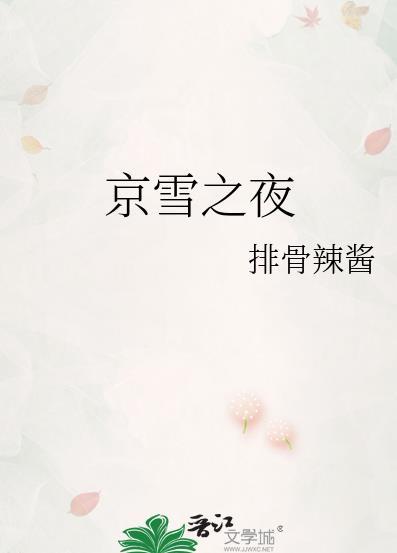 京雪之夜剧情介绍