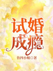 试婚成瘾厉少的惹火小辣妻