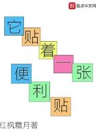 贴满便利贴的书