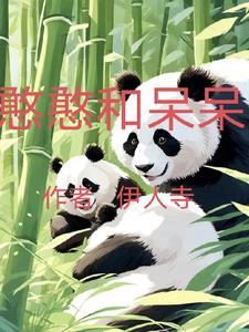 呆跟憨的区别