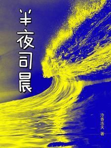 女主叫司夜的