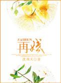 再婚爱人电视剧