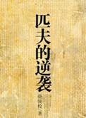 匹夫的逆袭人物介绍
