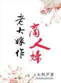 老大嫁作商人妇内容简介